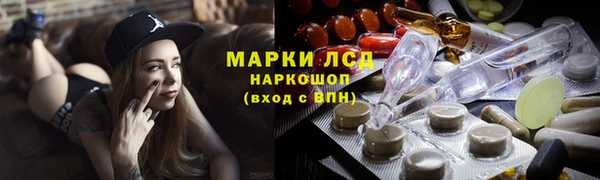 спиды Новодвинск