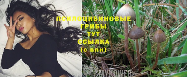 спиды Новодвинск