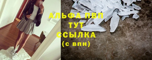 спиды Новодвинск