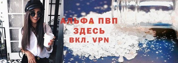 spice Новозыбков